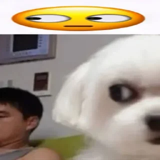 🤩 emoji dogs @monst14 Telegram sticker 16 of 40