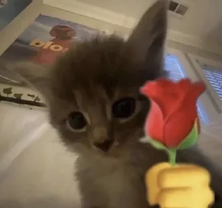 😘 emoji MeMÎKaT Telegram sticker 8 of 77