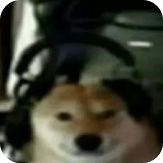 🐶 emoji психушкадеда Telegram sticker 13 of 115