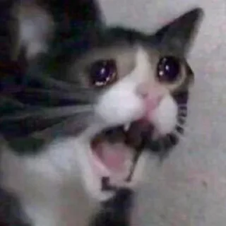 🥲 emoji Это просто дощь Telegram sticker 8 of 18
