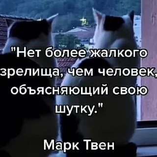 🥺 emoji улугбек и коты Telegram sticker 20 of 24