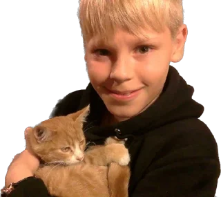 🐱 emoji Егорик и Андрейка сосут батарейки Telegram sticker 18 of 47