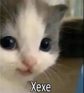 😃 emoji це вже всьо Telegram sticker 8 of 52