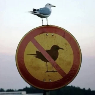 Sticker from Дана 🅉