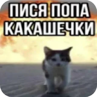 🐱 emoji Стики мамы Telegram sticker 15 of 61