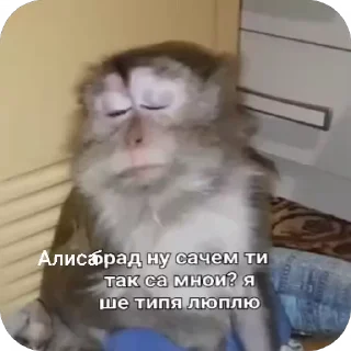 🥺 emoji Набор для елми) Telegram sticker 15 of 19