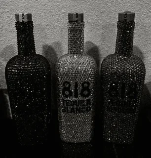 🪩 emoji ¡SAVAGE CHIC! @reaqwl Telegram sticker 23 of 75