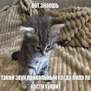⚰ emoji Унгало Чебоксары 5:это еще не конец Telegram sticker 24 of 120