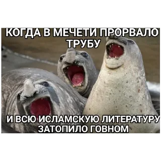 😁 emoji АЛЛАХ ПИДОРАС: СПЕЦВЫПУСК Telegram sticker 18 of 28