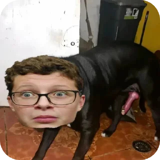 🐶 emoji vned govnoed Telegram sticker 19 of 96