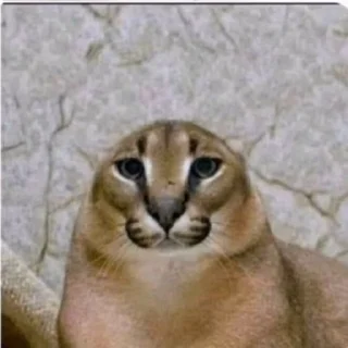 😐 emoji حبيبي والله 🗿🗿 Telegram sticker 20 of 51