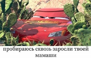 🌿 emoji Чо с ебалом? Мать жива? @stickernayaa Telegram sticker 12 of 76