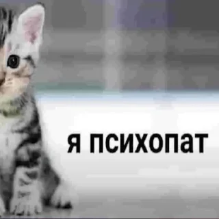 🥰 emoji Говно какое-то от Саппхика Telegram sticker 24 of 45