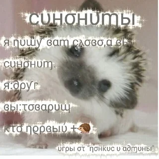 🦔 emoji игры от "понкис и админы" Telegram sticker 8 of 11