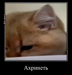 😱 emoji Гении из лостов Telegram sticker 7 of 93