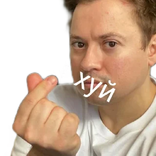 Sticker from Пошёл нахуй
