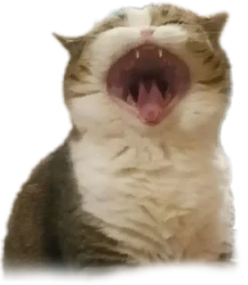 😫 emoji Буся Telegram sticker 14 of 31