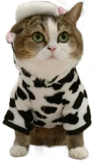 🐮 emoji Буся Telegram sticker 22 of 31