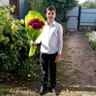 🌹 emoji Чебоксары Telegram sticker 22 of 25