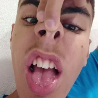 🐽 emoji Opagarnamstile Telegram sticker 7 of 11