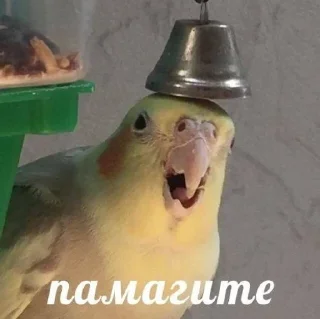 🌟 emoji Триггер оператора Озон Telegram sticker 18 of 71