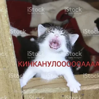 😳 emoji Китайские стикеры Telegram sticker 17 of 23