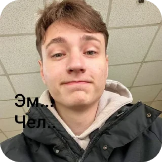 🤨 emoji Домерочек Telegram sticker 7 of 38