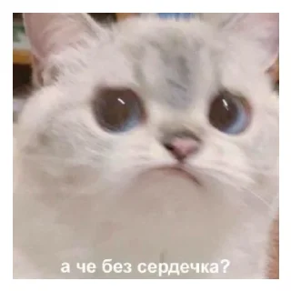 😰 emoji Никита лапуля<3 Telegram sticker 15 of 39