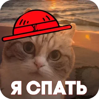 👍 emoji Пираты > @ChatPirates1007 Telegram sticker 19 of 30