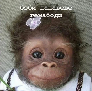 👶 emoji пепапеве гемабоди Telegram sticker 17 of 18