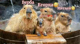 💋 emoji 5 а топчк Telegram sticker 8 of 102