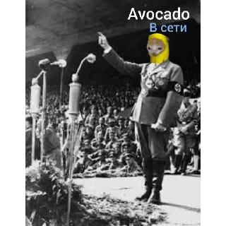 Sticker from Avocado-dictator