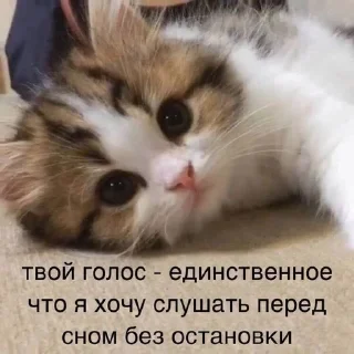 💞 emoji пикчи <3 Telegram sticker 13 of 22