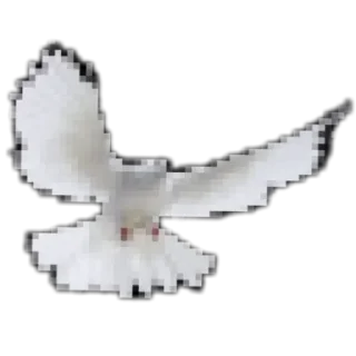 🕊 emoji #fuckswag by @cokeyshoresposhgang Telegram sticker 5 of 35
