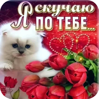 🐱 emoji krSya:3 Telegram sticker 7 of 87