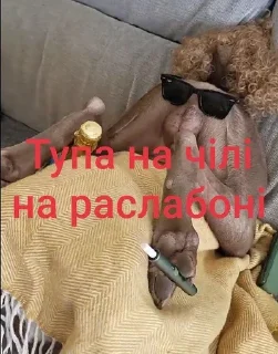 Sticker from Тіпа команда Переговорів