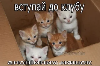 Sticker from Еееее блять