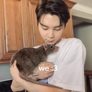 ❤️ emoji NCT & RIIZE › @ARCHRIIZENCT Telegram sticker 13 of 40