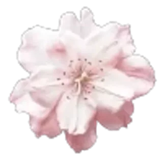 🌟 emoji dead blonde by rıșħa @stikersrisha Telegram sticker 14 of 40