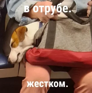 😴 emoji хихихи Telegram sticker 12 of 29