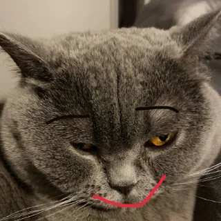 🥰 emoji жаба Telegram sticker 15 of 104