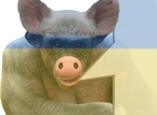 🐷 emoji Обезьяна легенда Telegram sticker 10 of 13