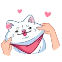 Shiba