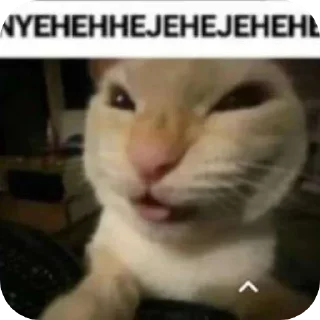 🐱 emoji Хехехе Telegram sticker 11 of 88
