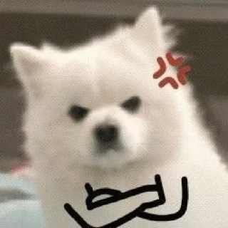 😡 emoji пися попа челеен Telegram sticker 17 of 64