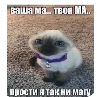 🐶 emoji бобик Telegram sticker 8 of 18
