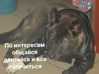 Sticker from доедешь пиши by @velvetchrist
