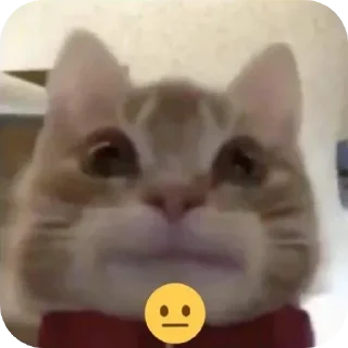 😐 Родное @Rostiksuper, Telegram sticker 6 of 120