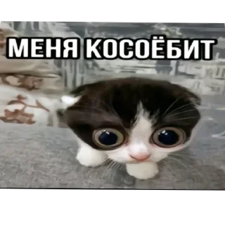 😳 Родное @Rostiksuper, Telegram sticker 7 of 120