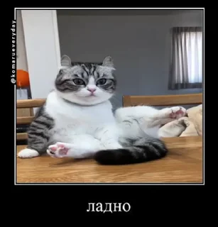 🌟 накурилсч заебись, Telegram sticker 7 of 55